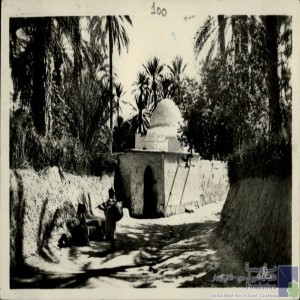 Marabout dans l\'oasis