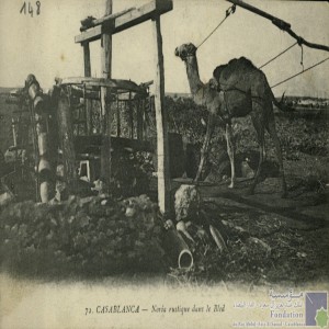 Casablanca - noria rustique dans le bled