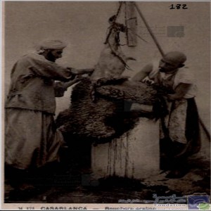 Casablanca - bouchers arabes