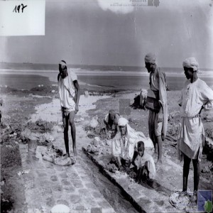 [Lavage de la laine]