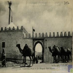 Casablanca - la Mosquée Sidi-Belyout