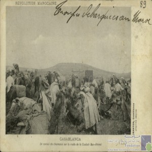 Révolution marocaine - Casablanca - un convoi de chameaux sur la route de la Casbah Ben-Ahmet