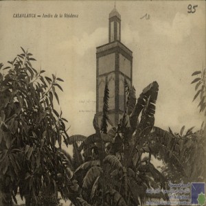 Casablanca - jardin de la Résidence