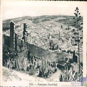 Fès - panorama, Fès-el-bali