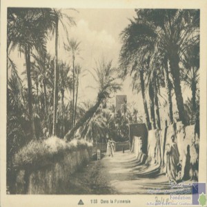 Dans la palmeraie