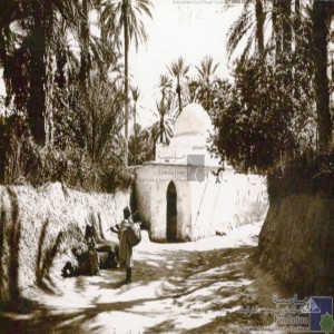 Marabout dans l\'oasis