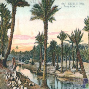 Paysage du sud