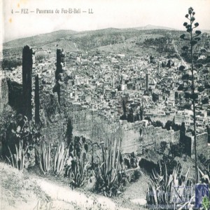Fez - panorama de Fez-el-Bali