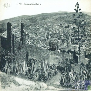 Fez - panorama - Fez-el-bali
