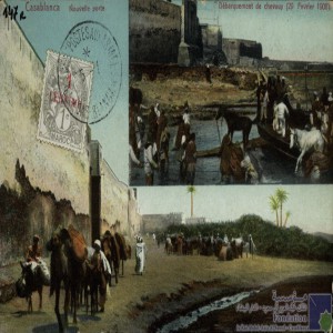 Casablanca - nouvelle porte - débarquement de chevaux (29 février 1908)