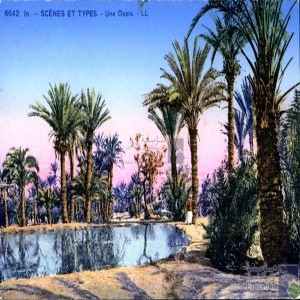 Une oasis