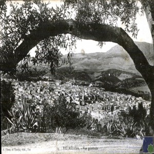 Fez - médina - vue générale