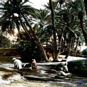 Au bord de l\'oued dans l\'oasis