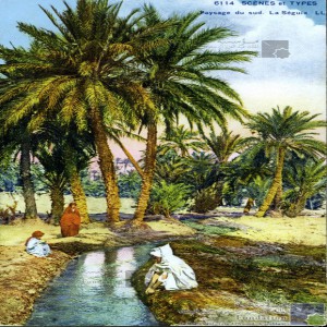 Paysage du sud - la séguia