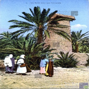Un bordj dans une palmeraie