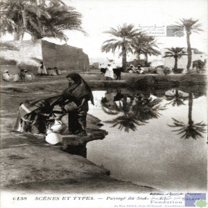 Paysage du sud