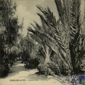Casablanca en 1916 - le Jardin public