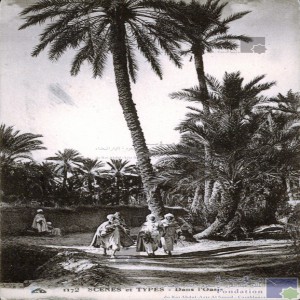Dans l\'oasis