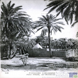 Paysages sahariens - dans l\'oasis, un marabout