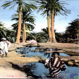 Paysage du sud