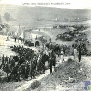 Taourirt - chameaux pour le ravitaillement de la colonne