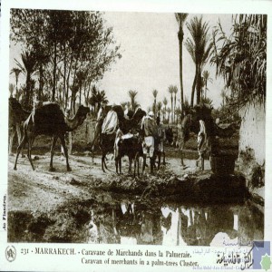 Marrakech - caravane de marchands dans la palmeraie