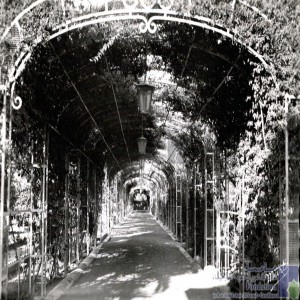 Casablanca - Palais impérial - les allées du jardin - extérieur