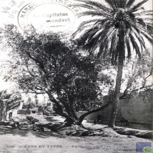 Paysage du sud