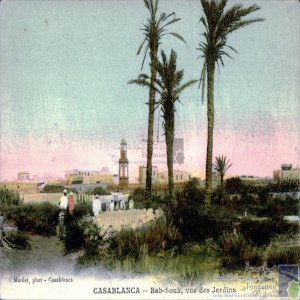 Casablanca - Bab-Souk, vue des jardins