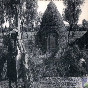Un gourbi arabe