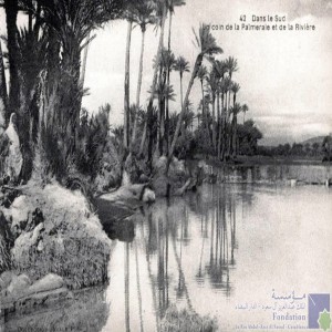 Dans le sud - un coin de la palmeraie et de la rivière