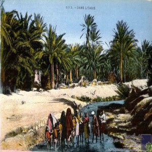 Dans l\'oasis