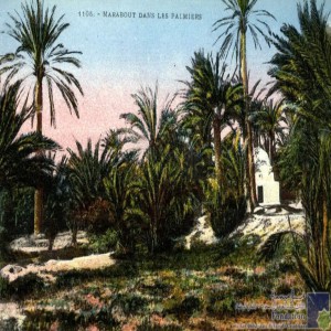 Marabout dans les palmiers