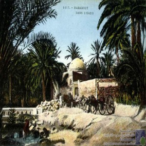 Marabout dans l\'oasis