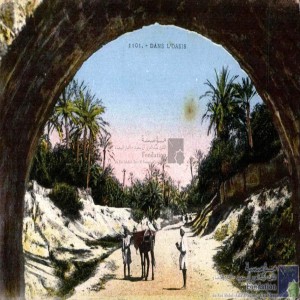 Dans l\'oasis