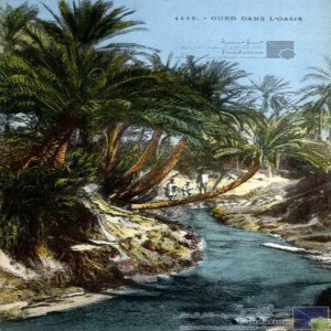 Oued dans l\'oasis