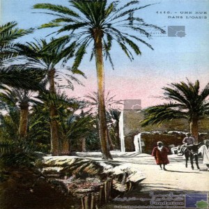 Une rue dans l\'oasis