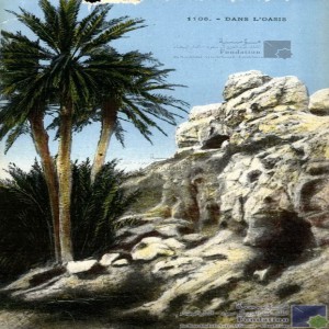 Dans l\'oasis