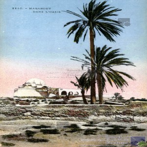 Marabout dans l\'oasis