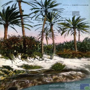 Dans l\'oasis