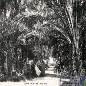 Casablanca - le Jardin public