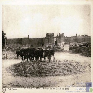 Taroudant - le battage du blé devant une porte