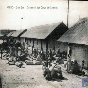 Oued-Zem - chargement d\'un convoi de chameaux