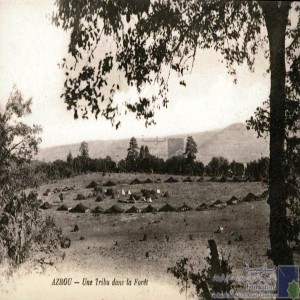 Azrou - une tribu dans la forêt