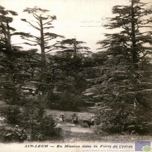 Aïn-Leuh - en mission dans la forêt de cèdres