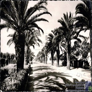 Fédala - Avenue Charles de Gaulle