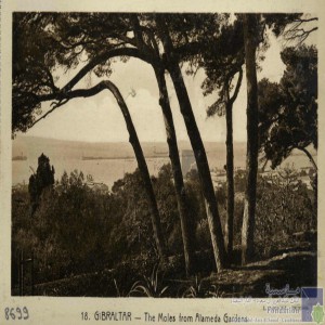 Gibraltar - the moles from Alameda Gardens