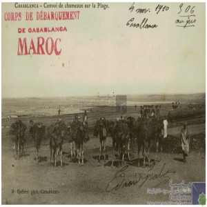 Casablanca - convoi de chameaux sur la plage