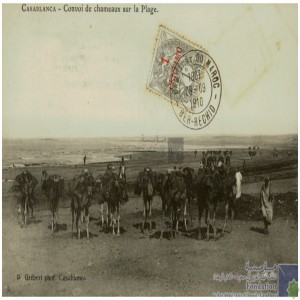 Casablanca - convoi de chameaux sur la plage