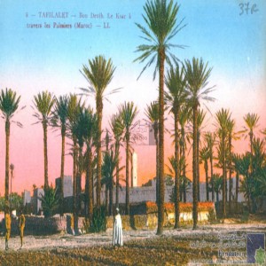 Tafilalet - Bou Denib, le ksar à travers les palmiers